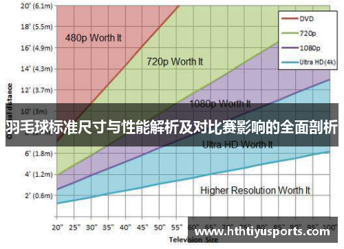 羽毛球标准尺寸与性能解析及对比赛影响的全面剖析